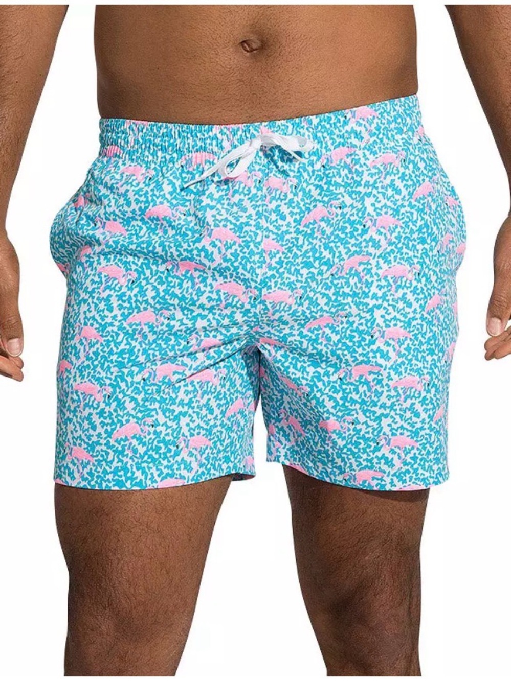 chubbies Swim Trunks - Picture 2 of 7